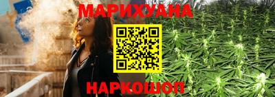 apvp Пугачёв
