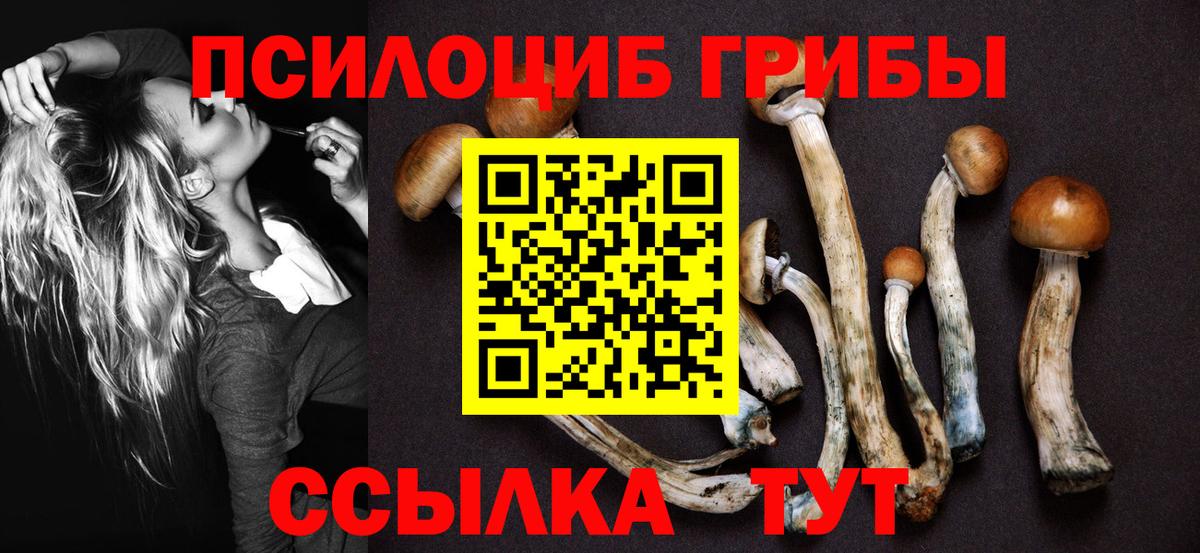 Псилоцибиновые грибы GOLDEN TEACHER Россия