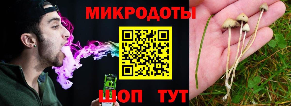 Россия  Псилоцибиновые грибы ЛСД  Вход с VPN 